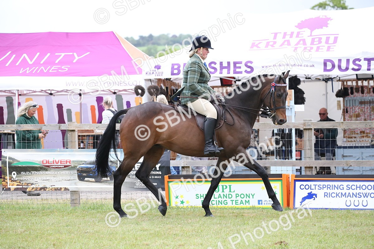 SBM_11389 - Class 94 - LIHS BSHA Racehorse to Showhorse