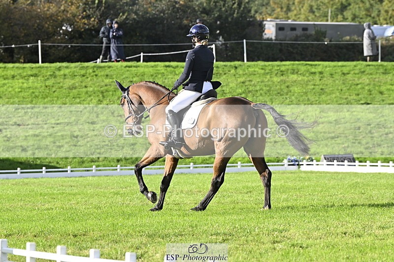 251023A-150938-04532 - E-386-Zara.Head