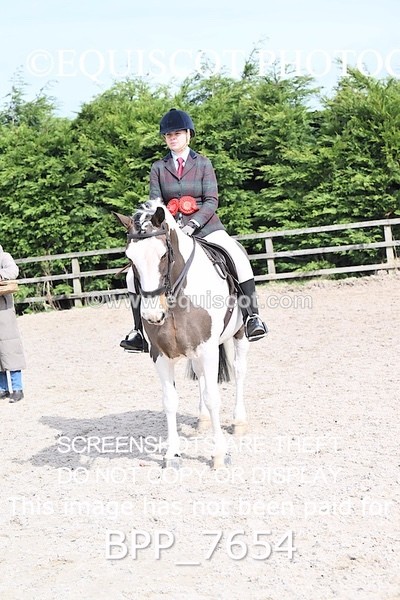 BPP_7654 - RING 1  (RIDDEN HORSES / IN HAND / VETERAN ETC)