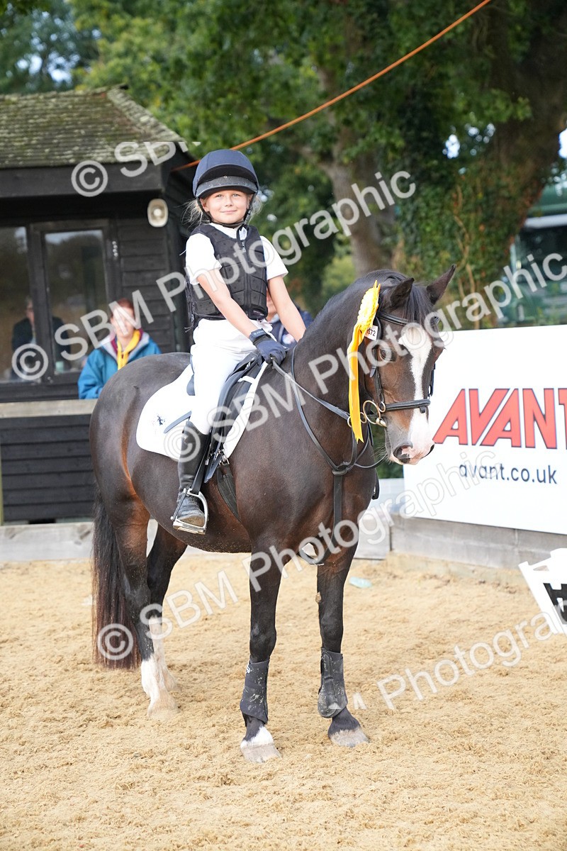 SBM_74947 - J4 - Mini Tour Junior Pony 45cm Championship