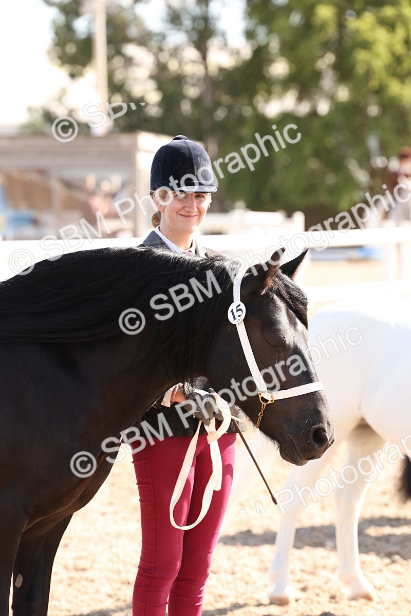 SBM_13948 - Class 205 - IH Show Pony - Show Hunter Pony