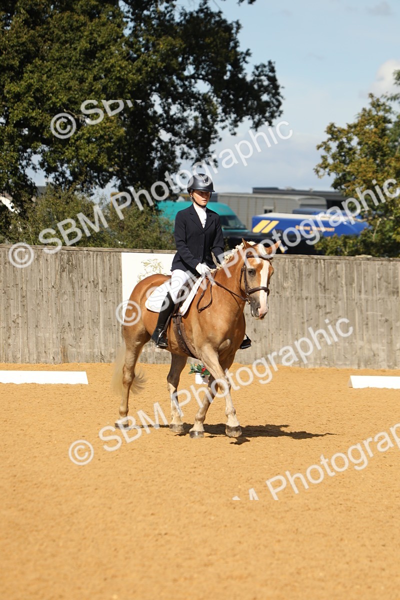 SBM_40541 - D21 - Junior Championship - Intro A