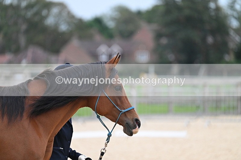 WJ7_1923 - Class 1 & Champs