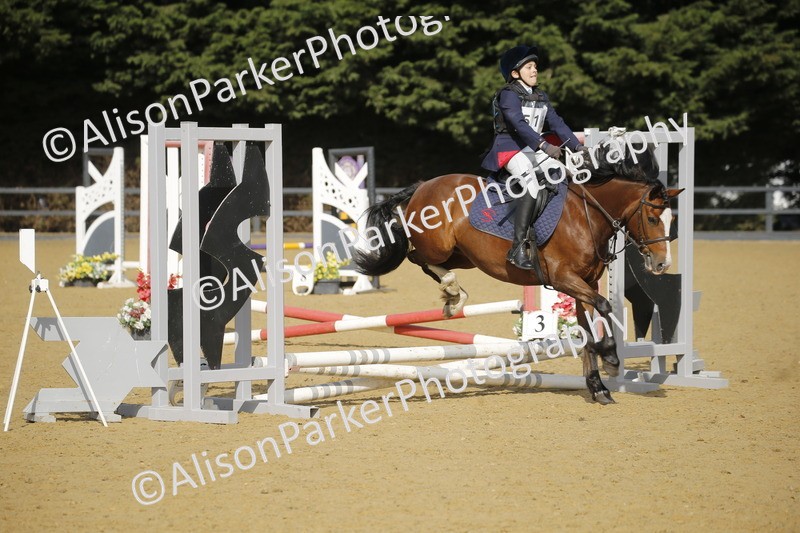 20250622-1374 - 40cm