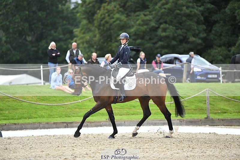 230812-124543-04213 - Cls 6 Novice Silver 12.10 to End