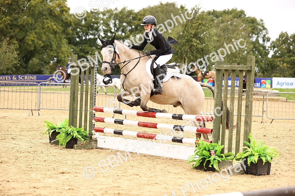 SBM_64748 - J17 - Junior Pony 80cm Championship
