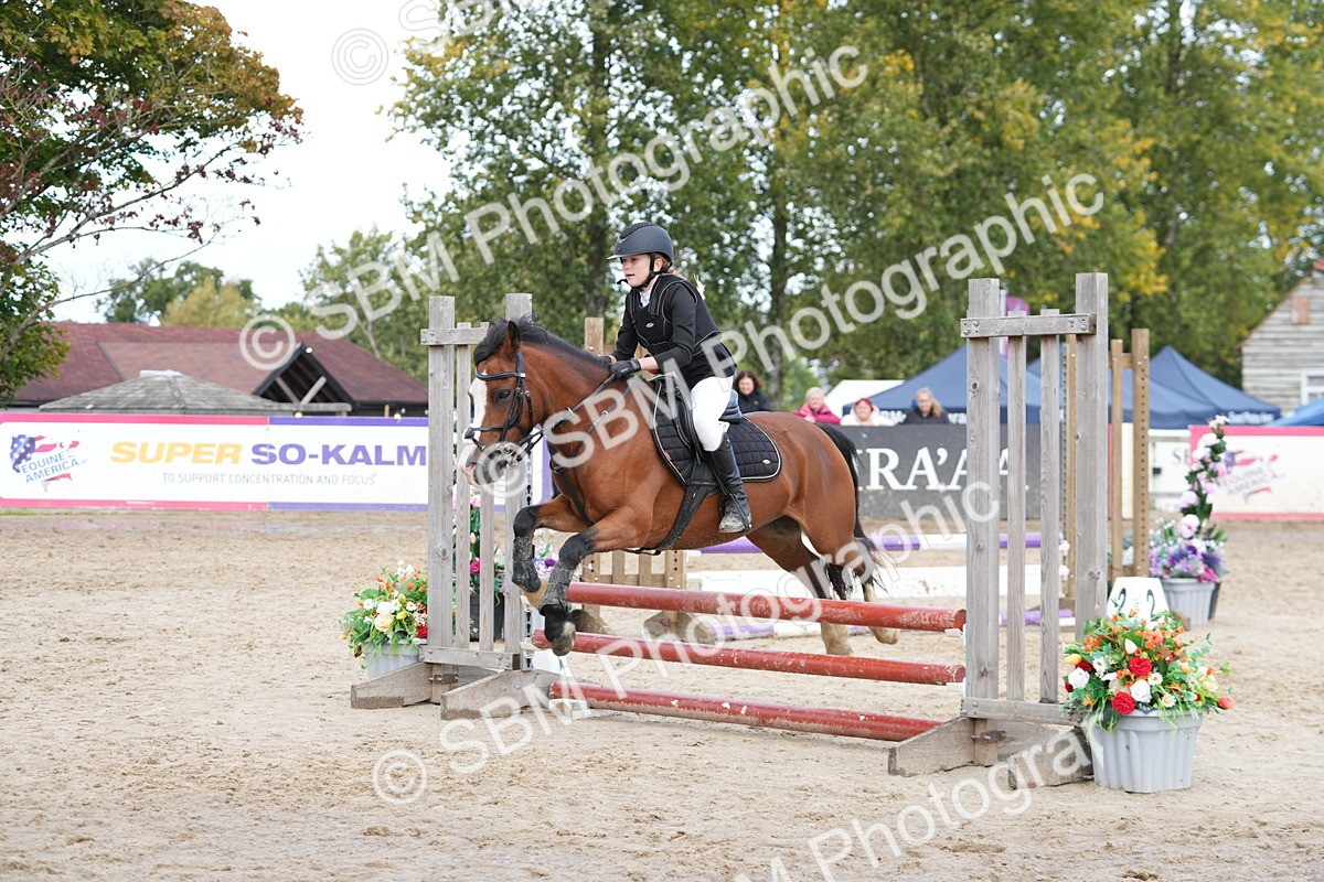 SBM_40860 - Supreme Championship Pony 50-55cm