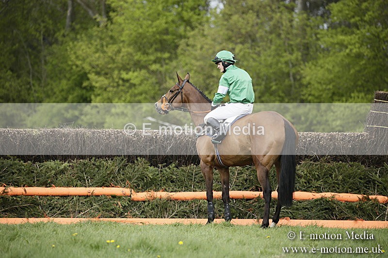 PtP 170417 157 - Old Berks Point-to-Point Lockinge 17/04/17