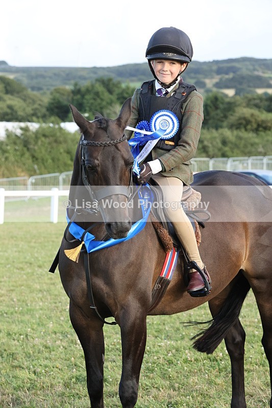 JPP_3781 - Working Hunter Championship