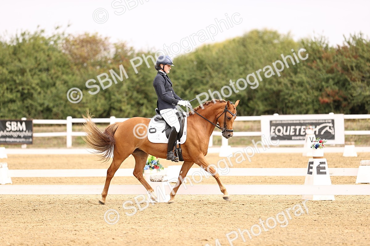 SBM_011690 - Class 1 - Medium 5