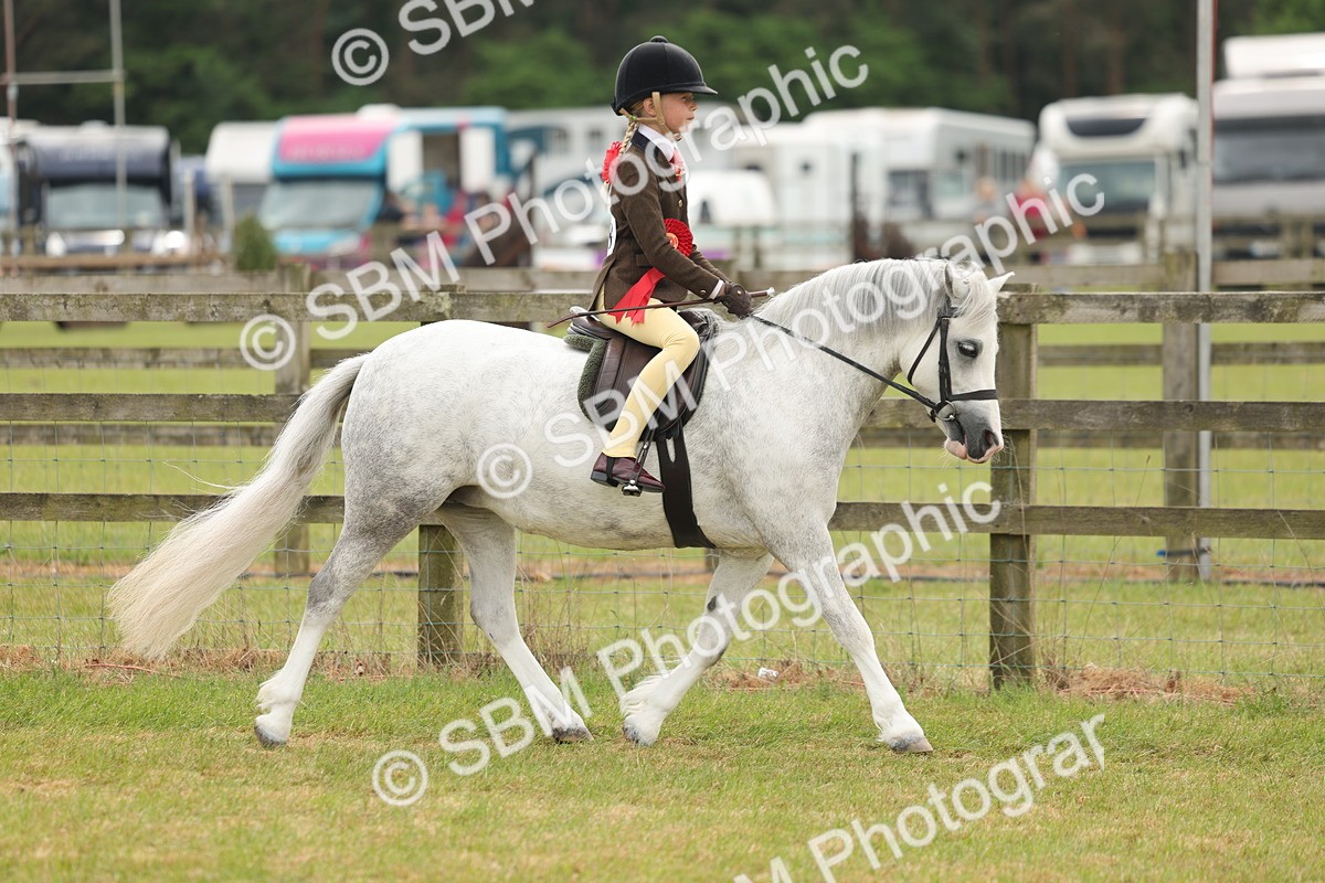 SBM_06918 - Class 74-75 - M&M Lead Rein and First Ridden Pony