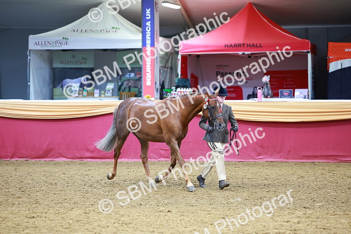SBM_16056 - Class 901 - Sup Final - IH Diamond