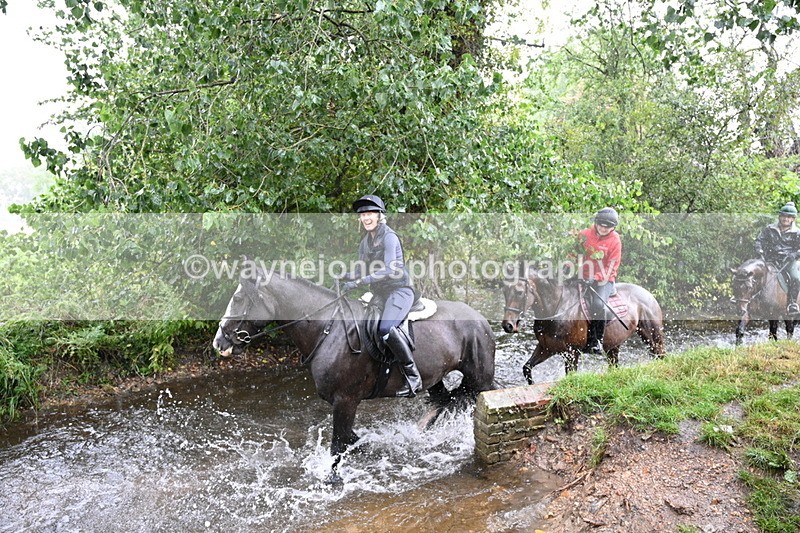 WJ7_8335 - Group 1