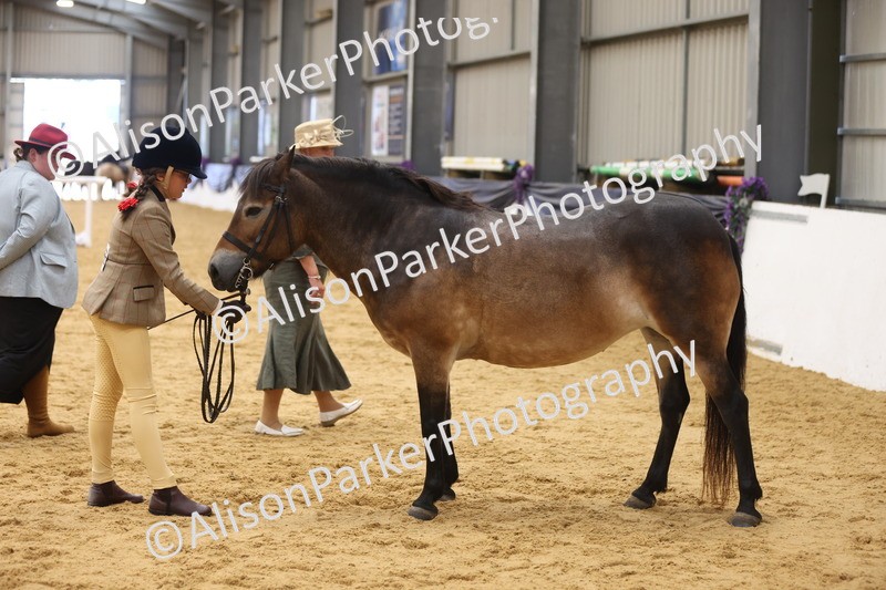 20260913-0572 - Class 125 - Junior Ridden