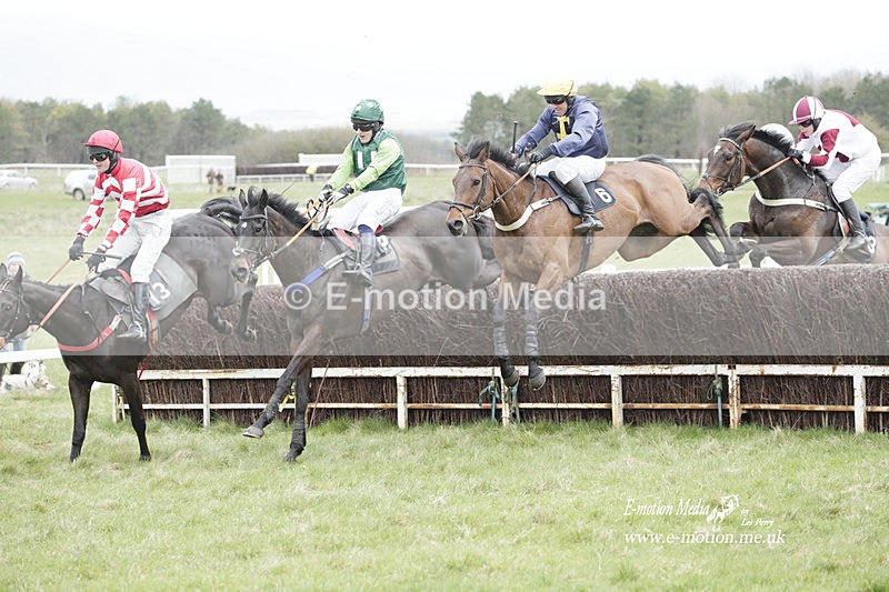 PtP 260323 0493 - New Forest Hounds Point-to-Point Larkhill 26/03/23