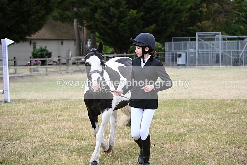 WJ6_4233 - Class 10 Coloured In-hand
