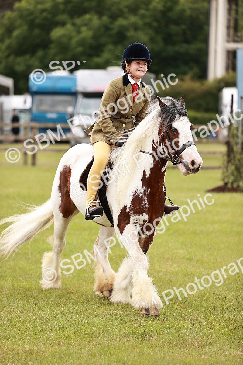 SBM_06140 - Class 39-41 TGCA In Hand and Ridden