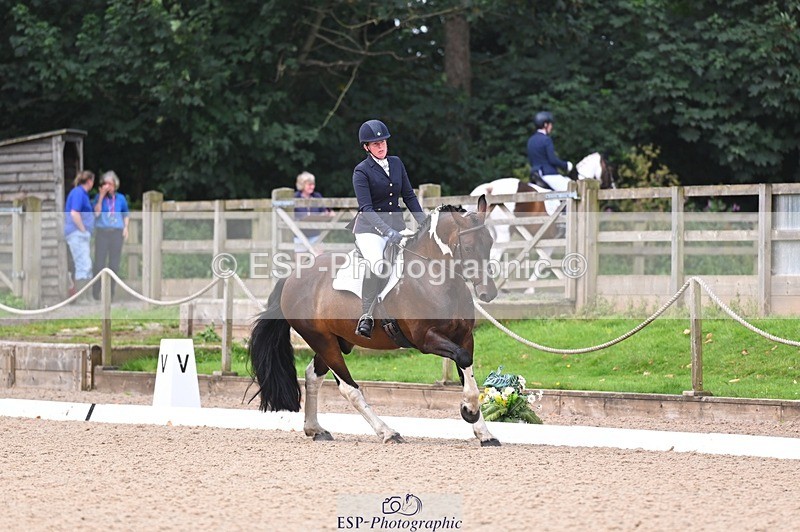 240809-102724-00194 - 112-Caroline.Hutchens-Clogorrow's.Socky