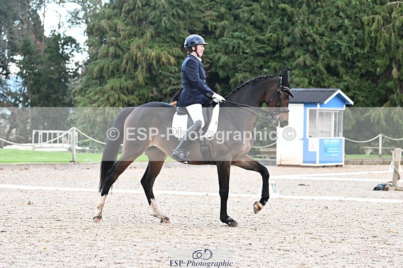 231110-150240-02098 - Cls 8 Medium 75Q