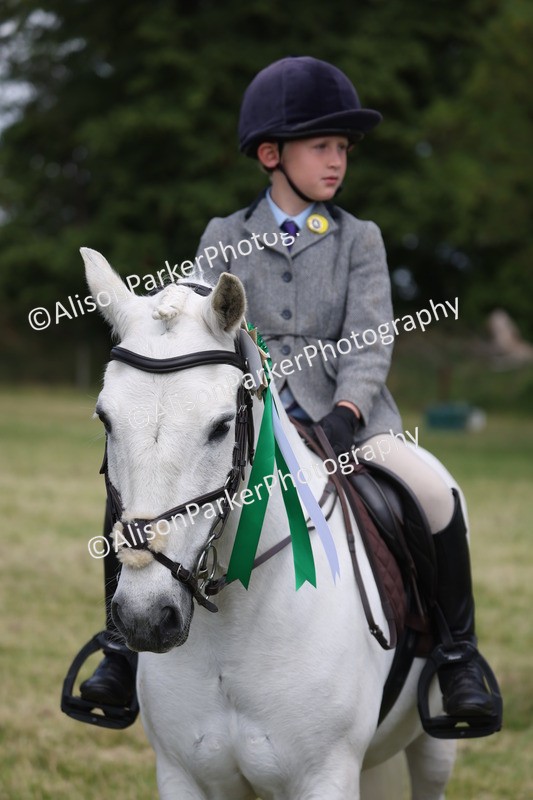 20260614-0827 - Class 20 - Beginners Working Hunter Pony