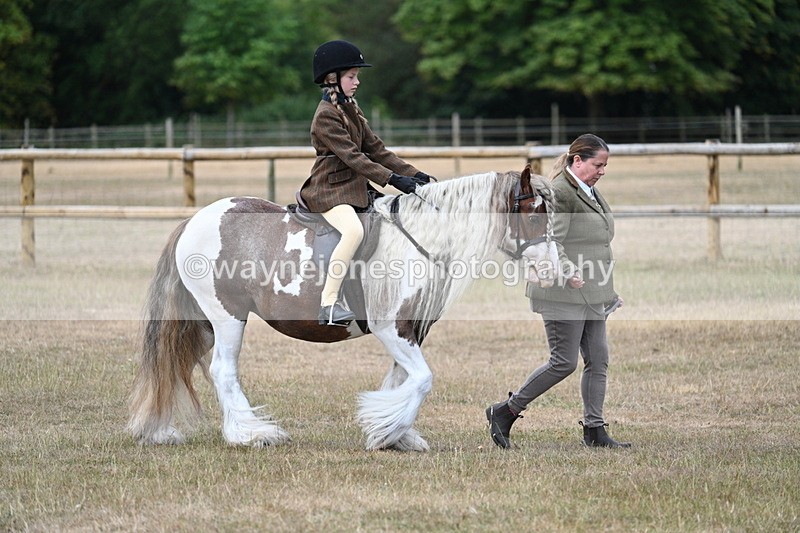 WJ7_6715 - Class 1 Lead Rein Pony