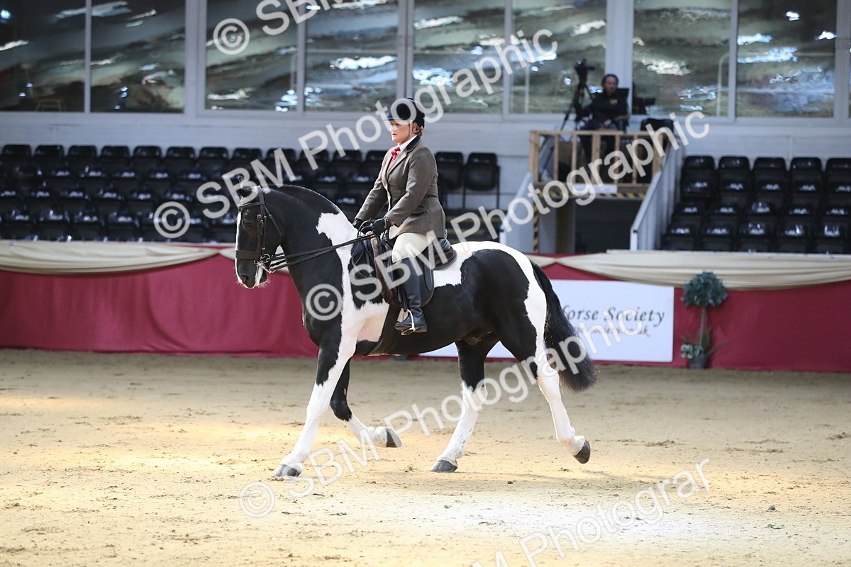 SBM_02883 - Class 6a Area Ridden Pre Vet