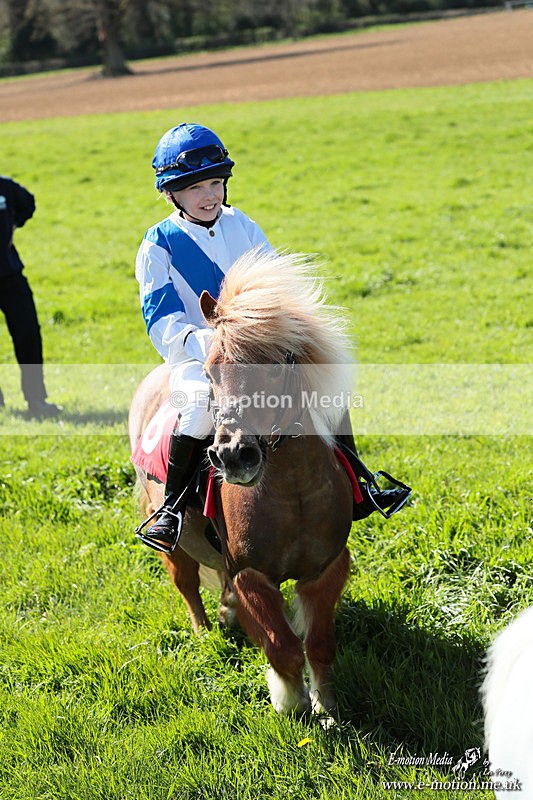Shet 060426 232 - Shetland Pony Racing Paxford Races Easter Mon 06/04/26