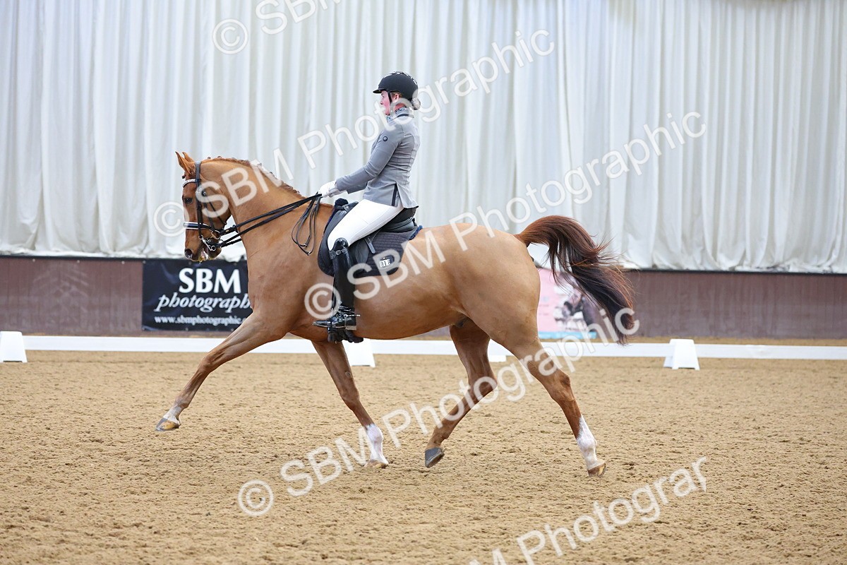 1I0A9184 - Class 11 - Medium 5