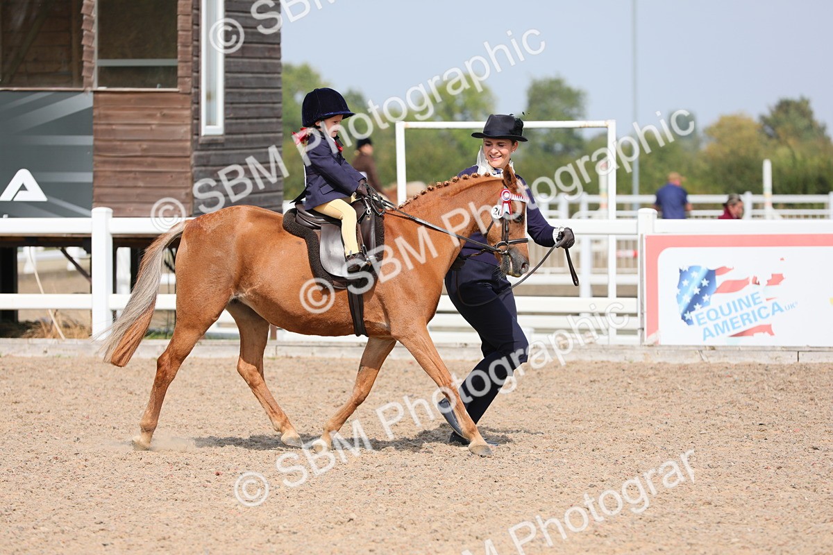 SBM_14005 - Class 309 Lead Rein Pony