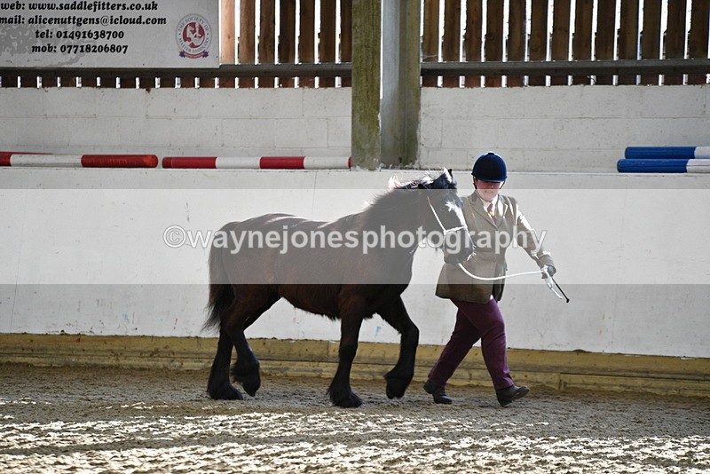 WJ5_3506 - Class 1 Youngstock