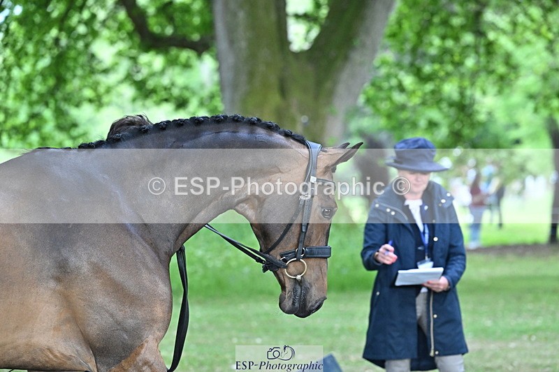 250521A-160809-00933 - C-205-Harry.Meade-IF.IN.DOUBT