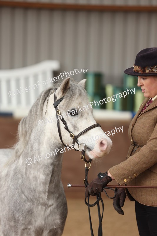 20251109-0617 - Class 22 - Geldings 4 Years and over