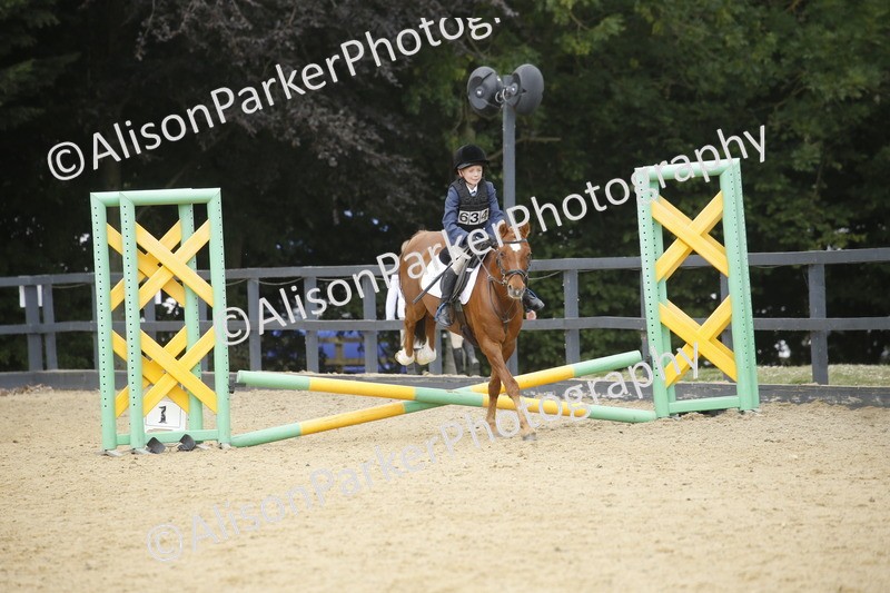 20250622-3989 - 50cm