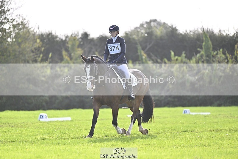 241025-120322-07000 - 374-Bella.Balian-BEECHWOOD.JOEY