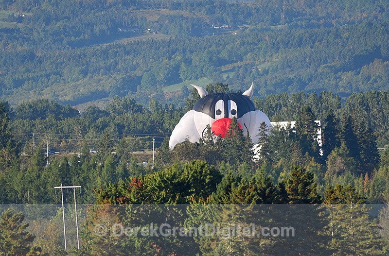 Atlantic International Balloon Festival Sussex New Brunswick Canada - Atlantic International Balloon Fiesta