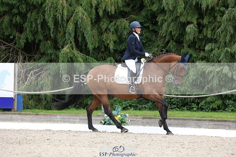 230812-150518-05046 - Cls 5 Novice Bronze 15.00 to End