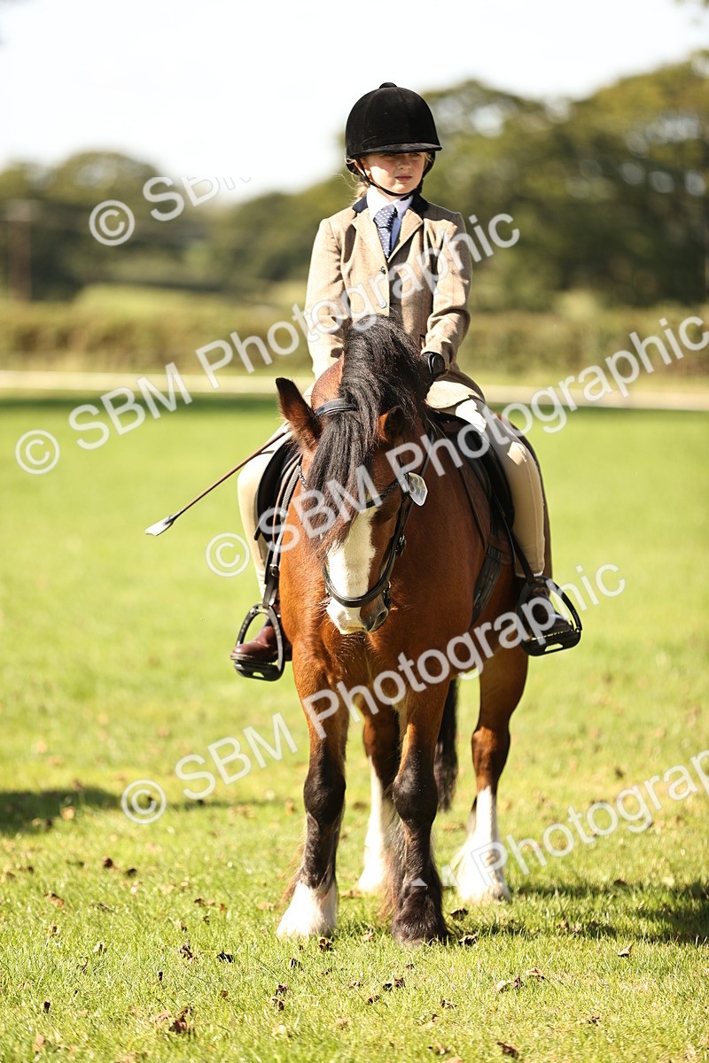 SBM_19182 - S3 - TSR Ridden Pony Showing