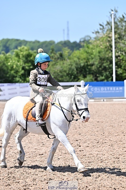 250517-132310-01329 - 50cm