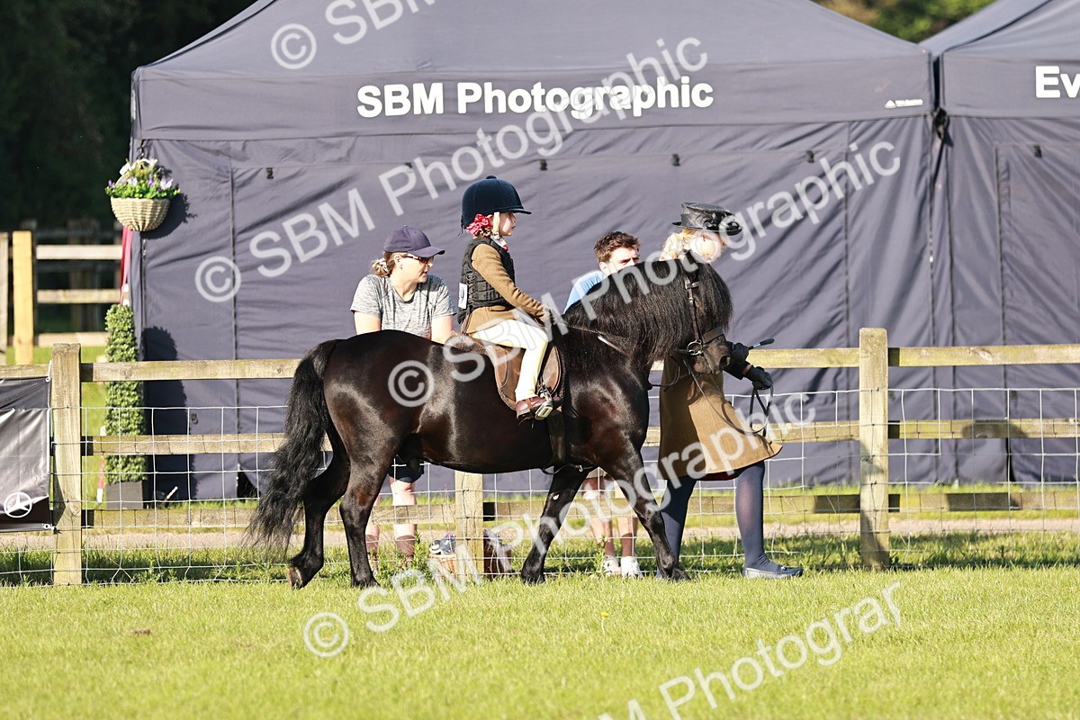 SBM_11002 - Class 106-107 - BSPS LIHS Working Sports Pony