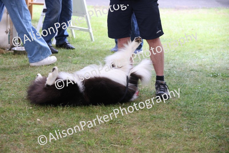20250607-0471 - Best in Show