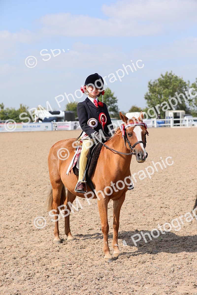 SBM_14768 - Class 310 First Ridden Pony