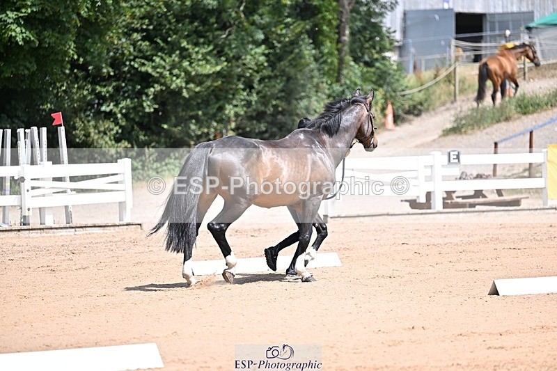 250716-123938-00096 - Trot Up 12.30 to 1.30