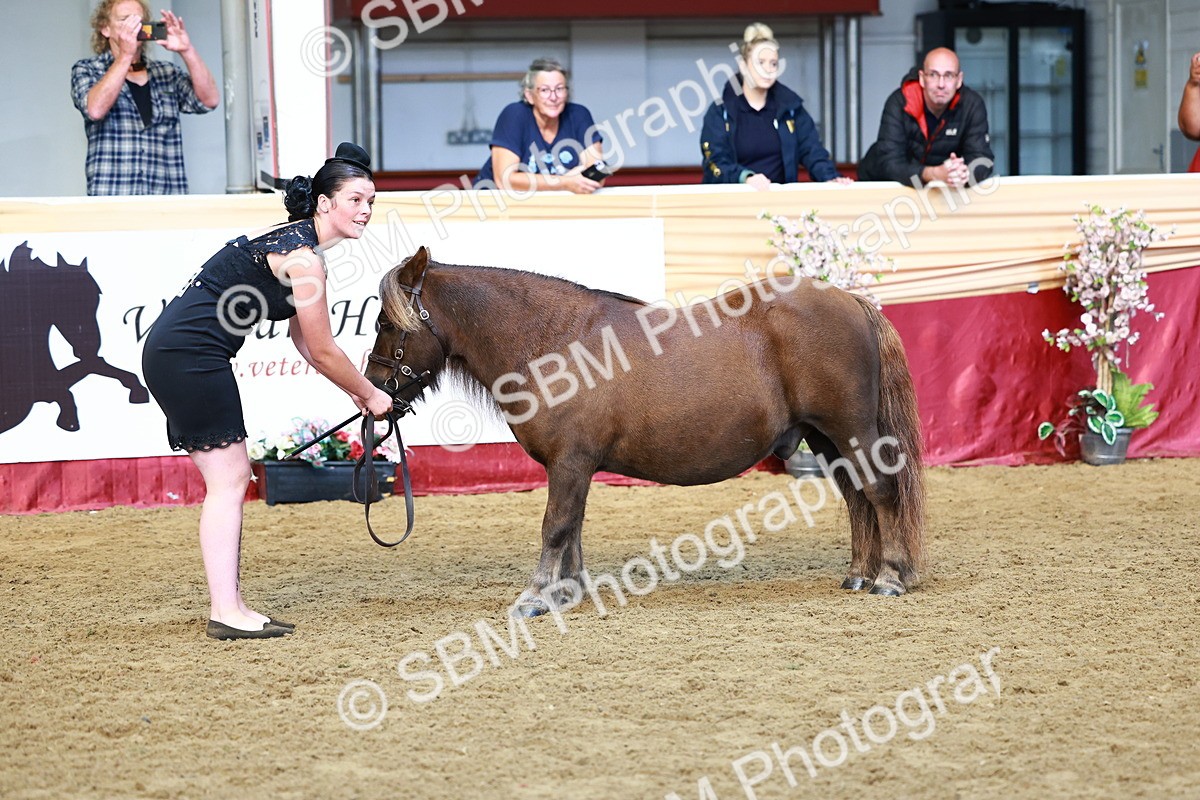 SBM_22365 - Class 902 - Supreme Final - IH Diamond