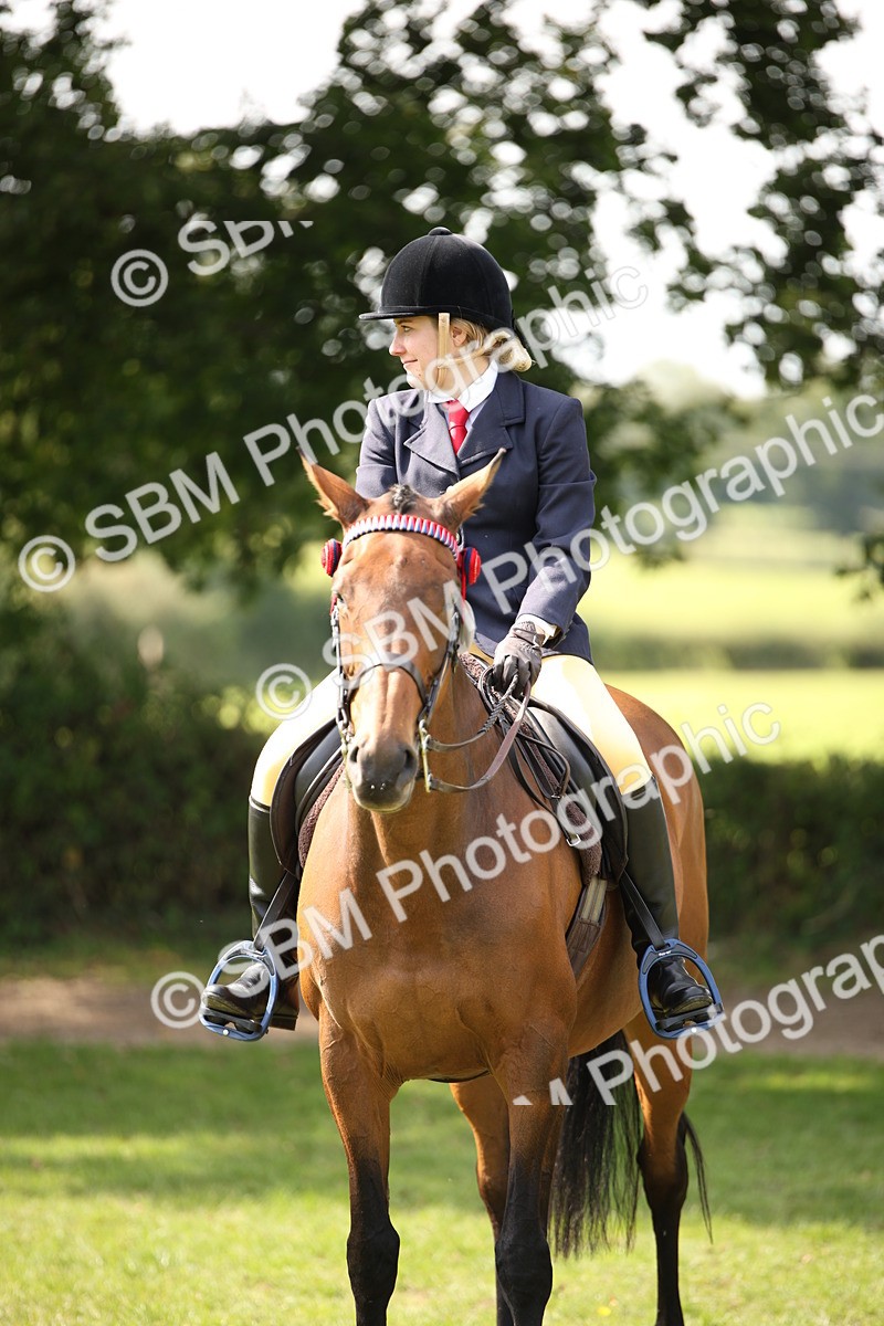 SBM_65974 - S64 - Riding Horse & Hack & Thoroughbred Ridden