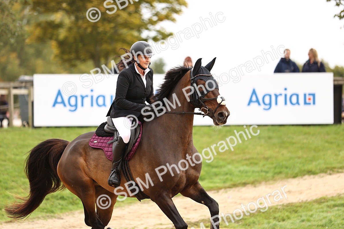 SBM_58543 - J41 - Grand Tour Horse & Pony 95cm