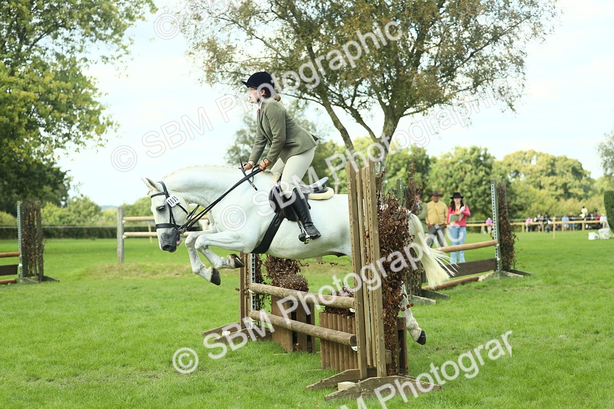 SBM_47939 - S32 - Novice & Newcomers Working Hunter