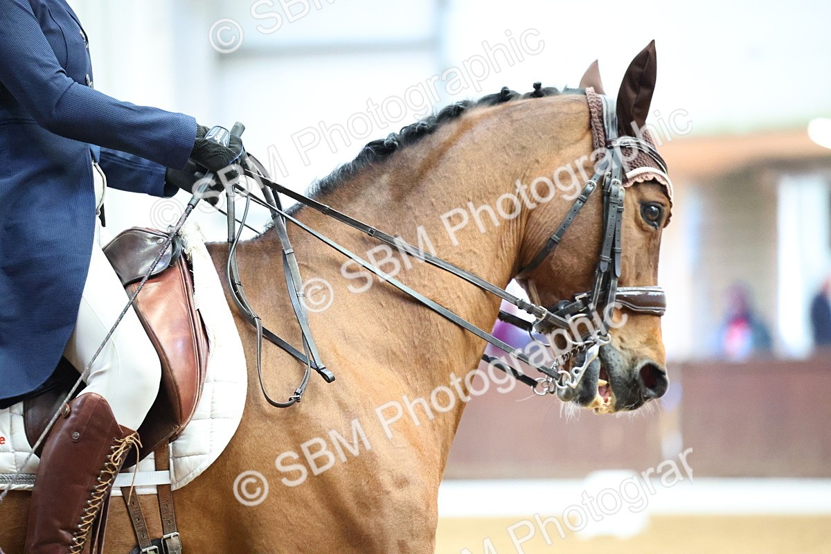 SBM_008449 - Class 28 - FEI PSG