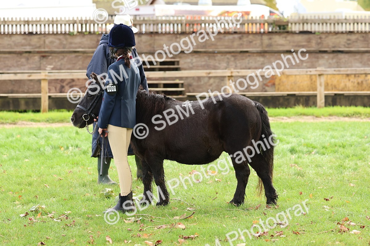 SBM_40747 - S25 -  Veteran In Hand