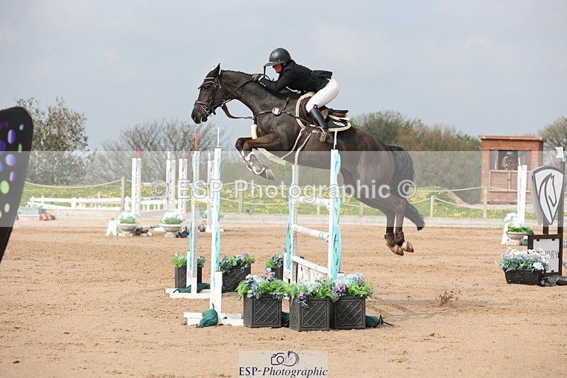 250424-104435-03199 - Cls 33 Young Horse 7yr old