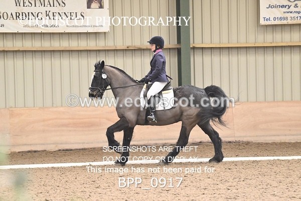 BPP_0917 - 17 - L GALLACHER